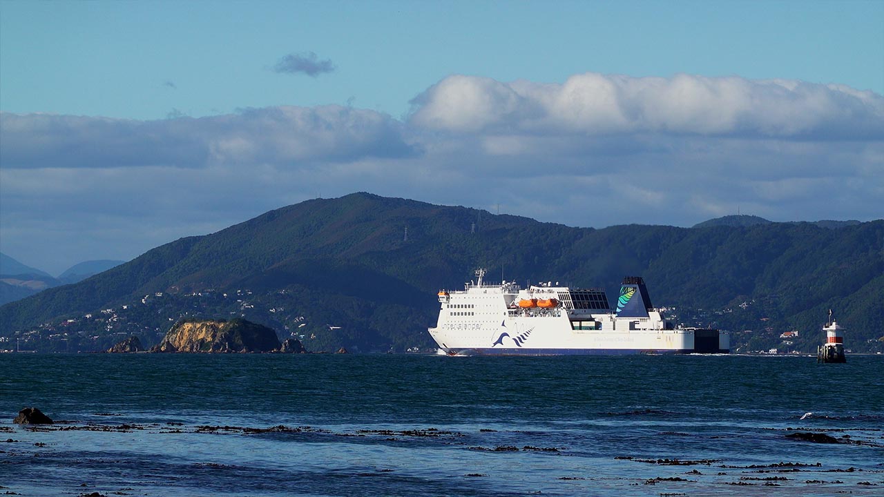 Kaitaki